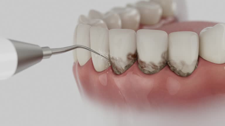 Reliable Dental contractor in Leslie, MI by Dentist Open Now